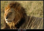 kenya 06
