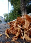 autunno terra terra