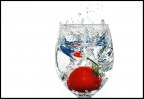 splash