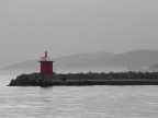 The red