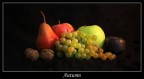 Autumn#1