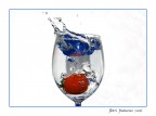 splash 01