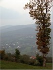 Colori autunnali