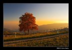 Tramonto 2 (Colle Moschin)