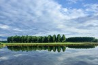 Riflessi