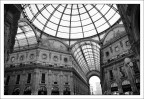 La mia Milano