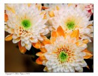 Orange...