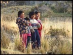 Bimbi boliviani