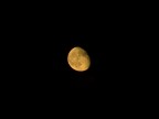 A' luna rossa