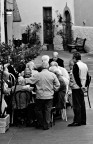 Socializzare