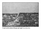 Gli angeli albergano tra gli antichi palazzi