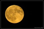 luna piena..