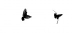 flight 2
