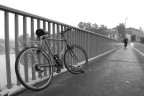 Il ponte 4