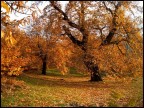 l'autunno
