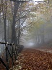 Monte Cucco