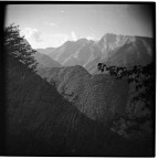 Apuane