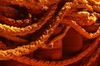 Serpenti contorti