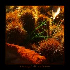 assaggi di autunno