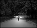 Walking In The Park
