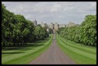 Windsor