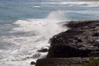 mare