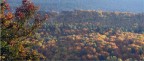 L'autunno  veramente incredibile!!! Adoro i suoi migliaia di sgargianti colori che per aprono le porte al freddo dell'inverno...