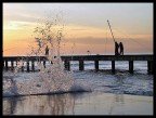 Pescando