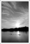 Canoe