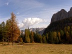 I colori Autunnali
