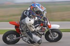 Minimotard