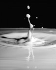 milk