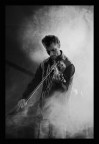 Violinista