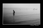 Il pescatore