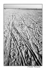 Linee