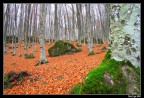 Autunno