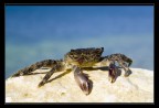 Voglia di mare