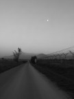 Road to nowhere...