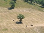 Appennino in giugno, realizzata con la videocamera