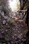 autunno garganico