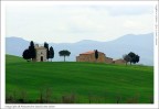 Cilline senesi