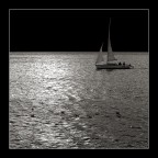 silence