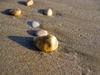 Spiaggia di Pineto, in Abruzzo, con la compattina.