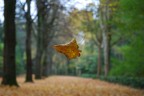 Autunno....