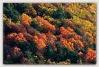 300mm di autunno.