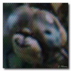 Macro Digitale