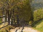 Autunno