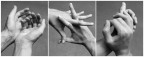 Mani