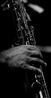 sex with sax