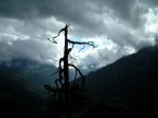 In Austria